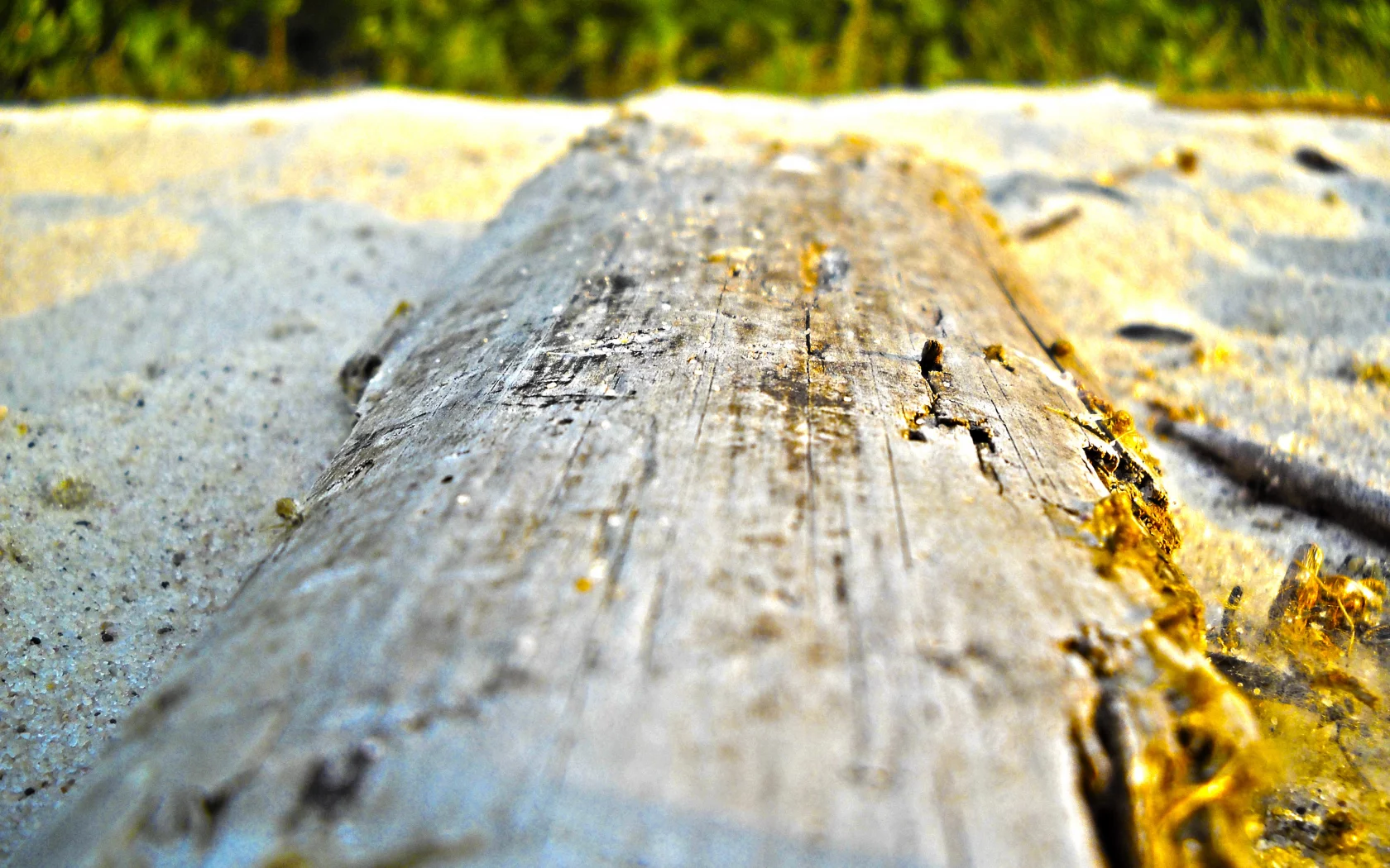 дерево, брус, доска, песок, пляж, hdr, размытость, берег, макро
