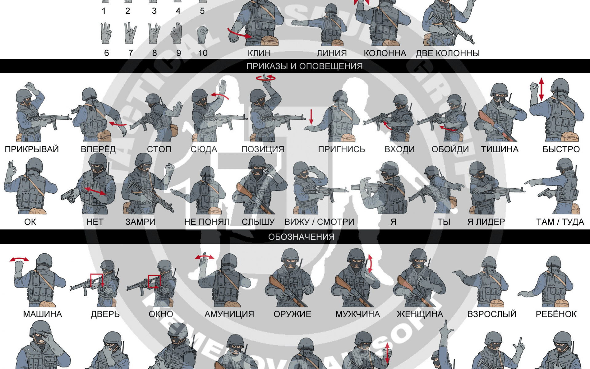 Жесты спецназа руками и их значение с картинками