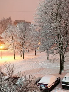 Снежное, спящего дворика, покрывало