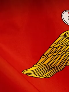 флаг, орел, красный, желтый