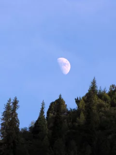 лес, горы, луна