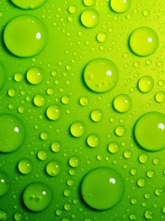 зелёный, вода, капли, роса, фон