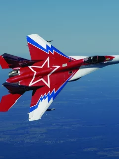 МиГ-29, стрижи, полёт