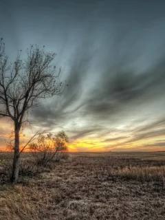 небо, пейзаж, дерево, HDR, природа, поле