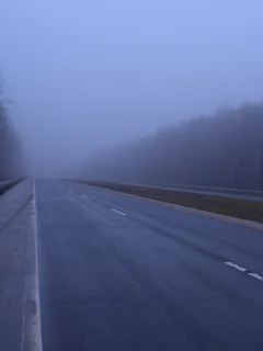 туман, дорога