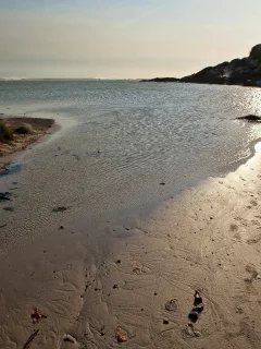 лето, берег, пейзаж, море, природа