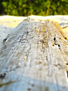 дерево, брус, доска, песок, пляж, hdr, размытость, берег, макро