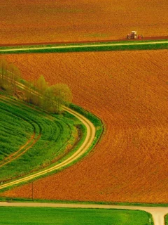 дороги, поле, трактор, дорога, деревья, поля