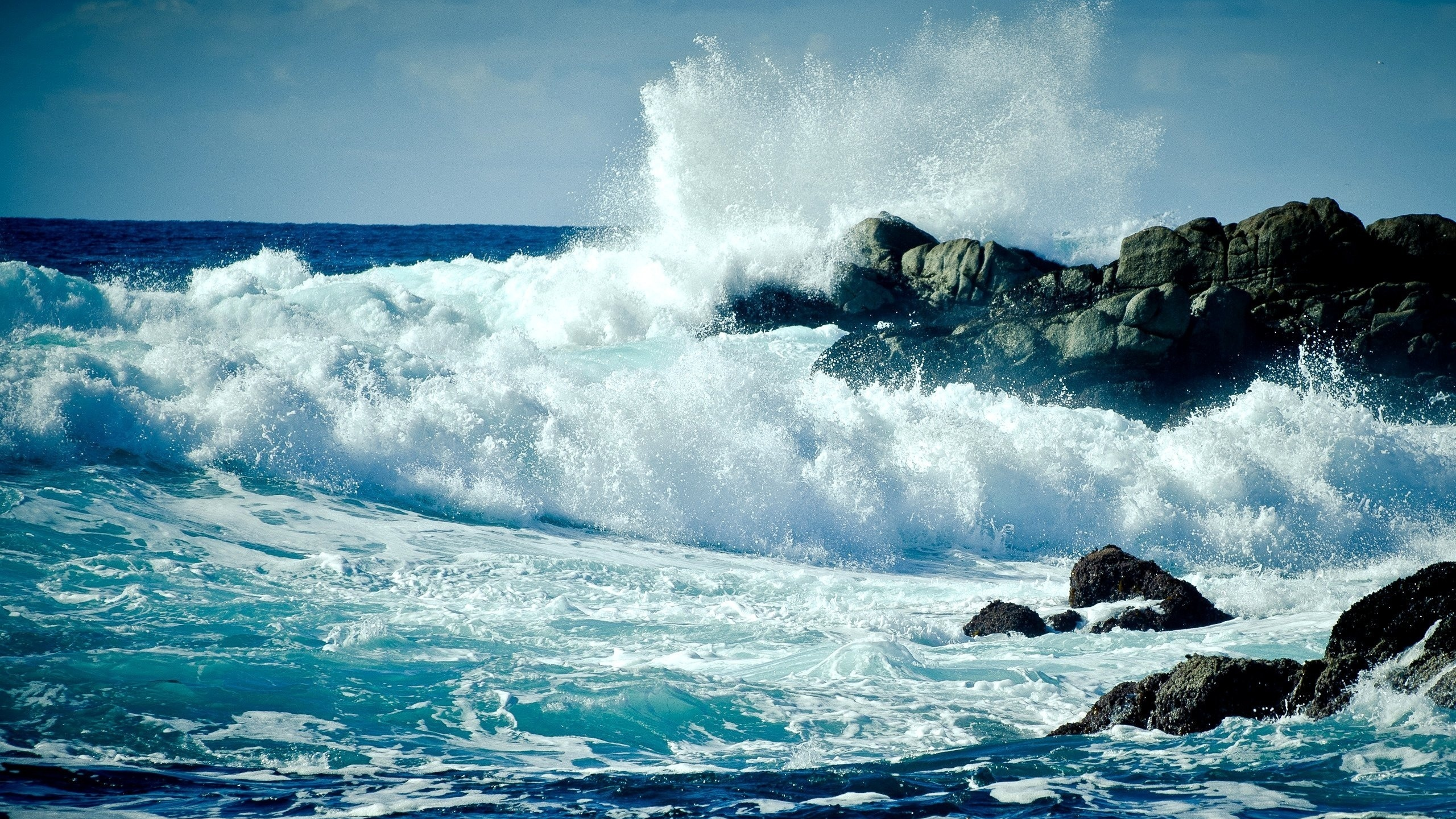 Море фото высокого качества на телефон