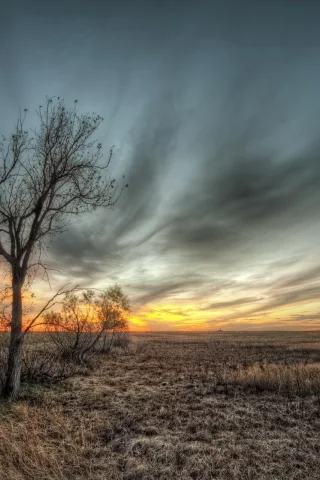 небо, пейзаж, дерево, HDR, природа, поле