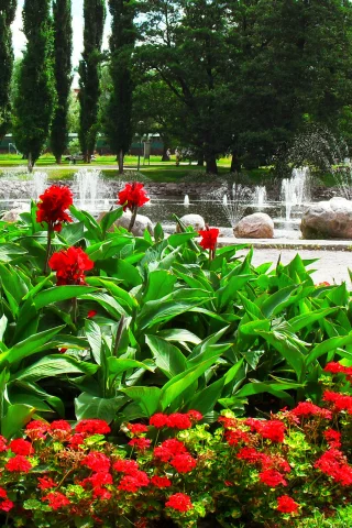 фонтан, парк, камни, клумба, деревья, цветы