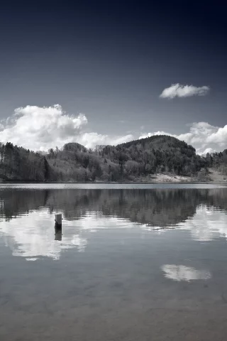 лес, деревья, природа, облака, небо, пирс, озеро, берег