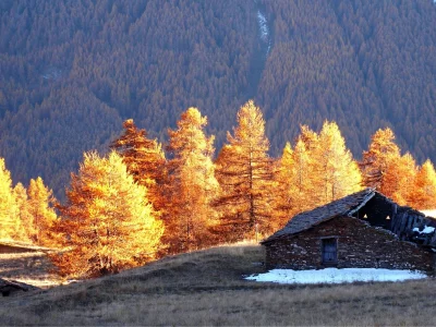 дом, небо, пейзаж, красота, деревья