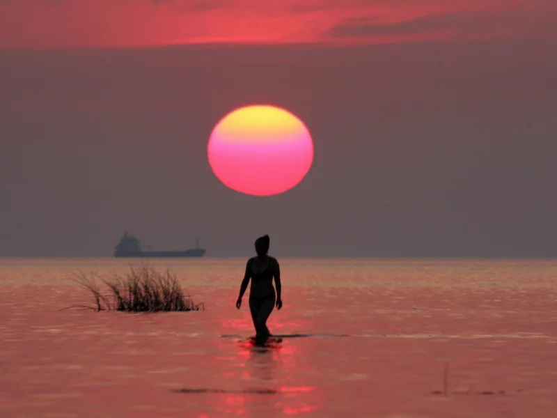 силуэт, пейзаж, ночь, море