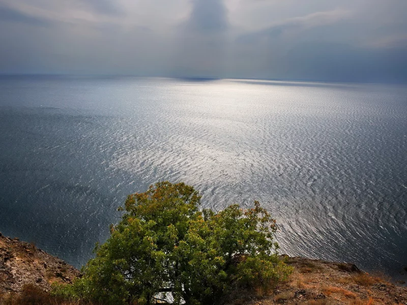 небо, море, дерево, пейзаж