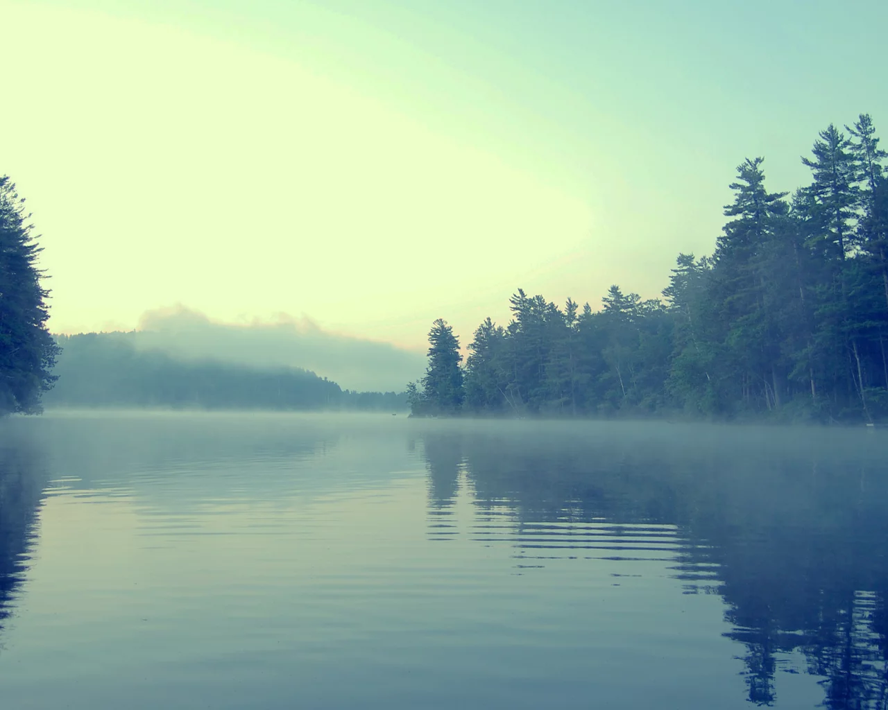 берег, вода, туман, лес