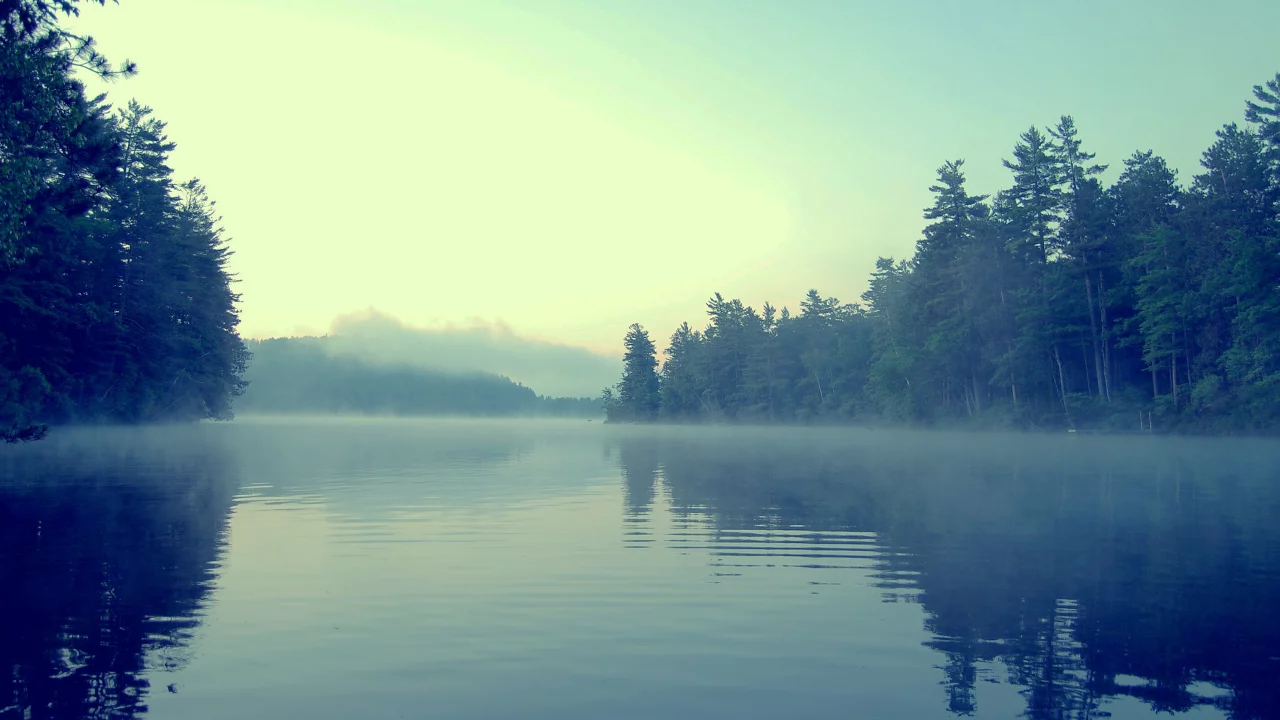 берег, вода, туман, лес