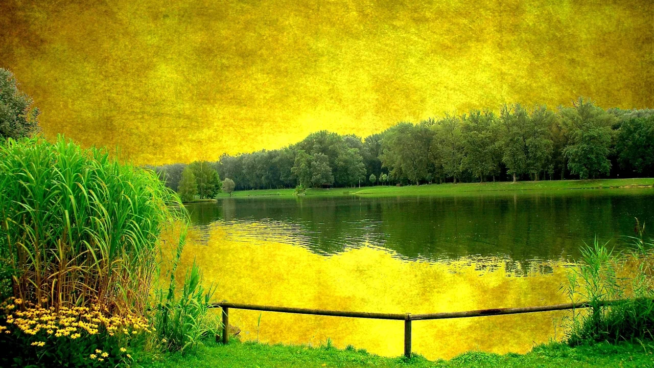 Озеро, деревья, Берег, цветы