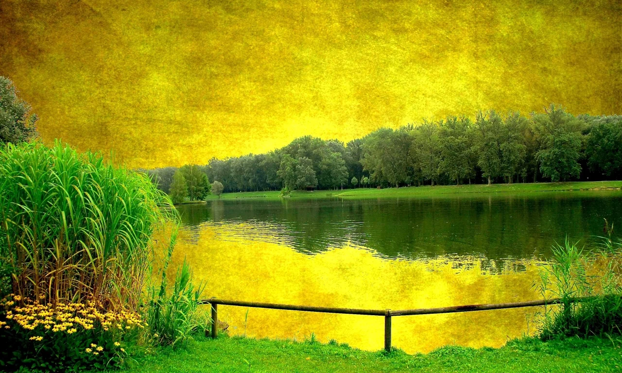 Озеро, деревья, Берег, цветы