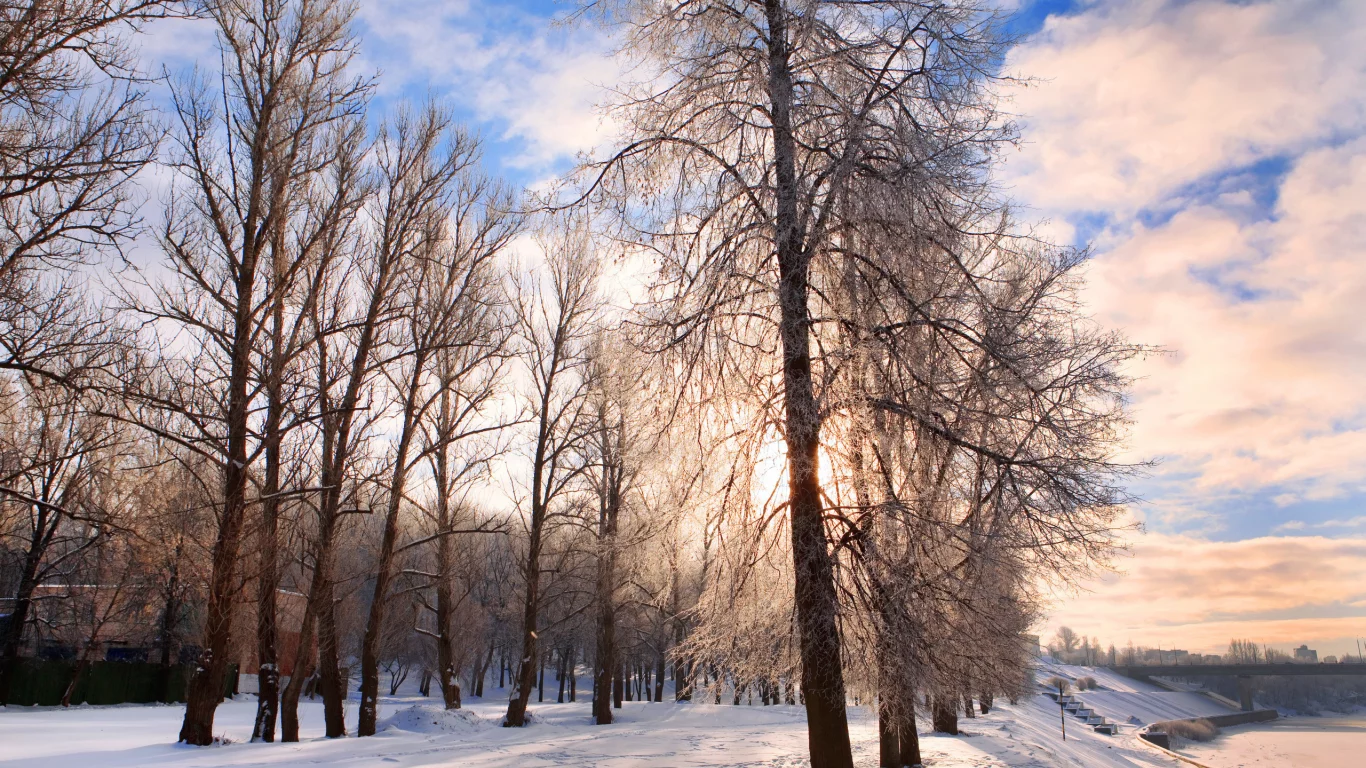 снег, парк, природа, зима, деревья