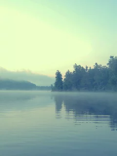 берег, вода, туман, лес