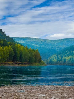 туман, облака, река, горы, небо, лес