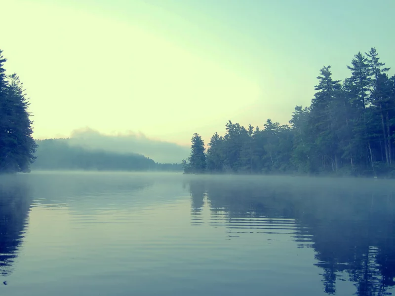 берег, вода, туман, лес