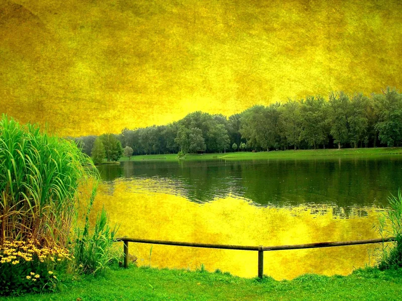 Озеро, деревья, Берег, цветы