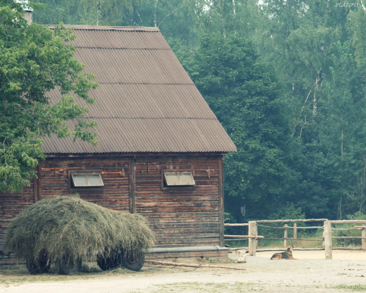 телега, конюшня, собака