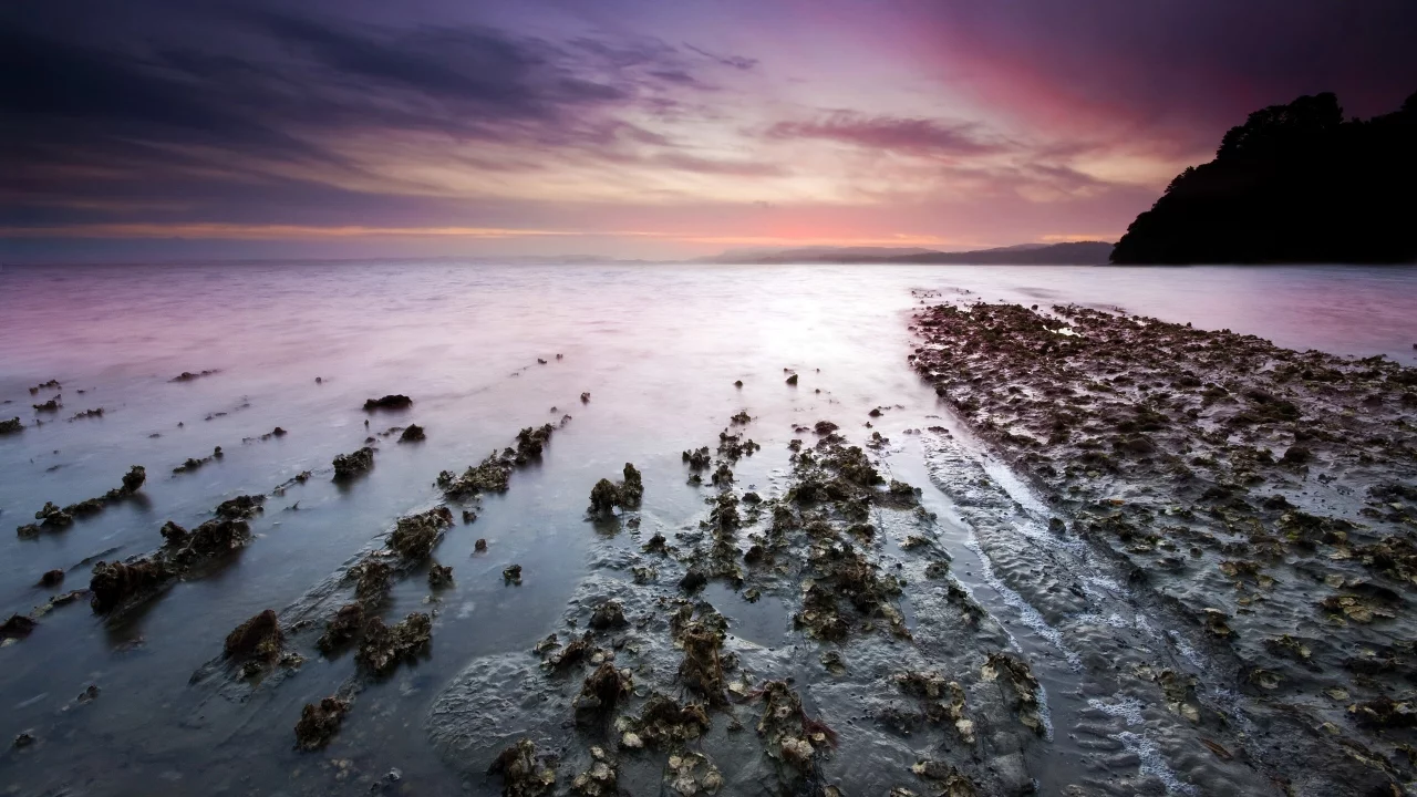 берег, камни, горизонт, море