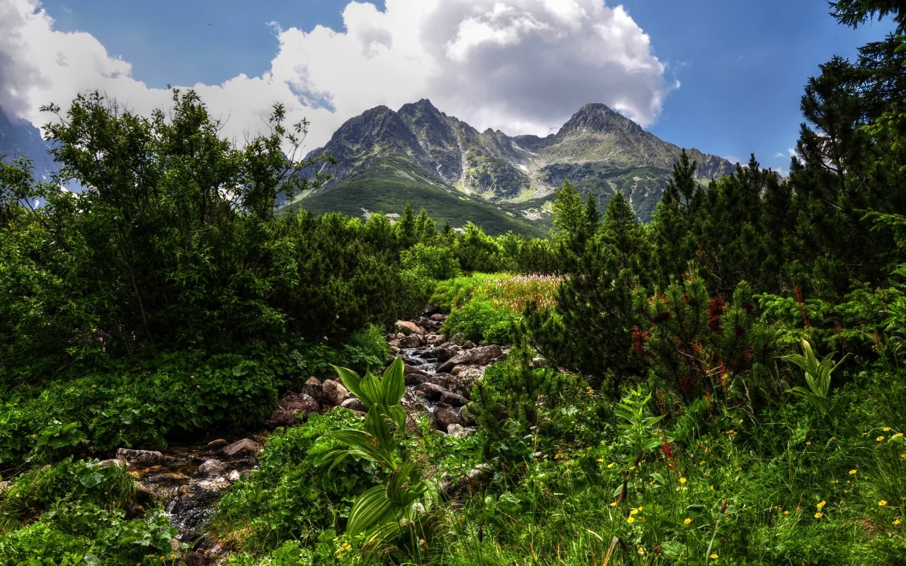 горы, зелень