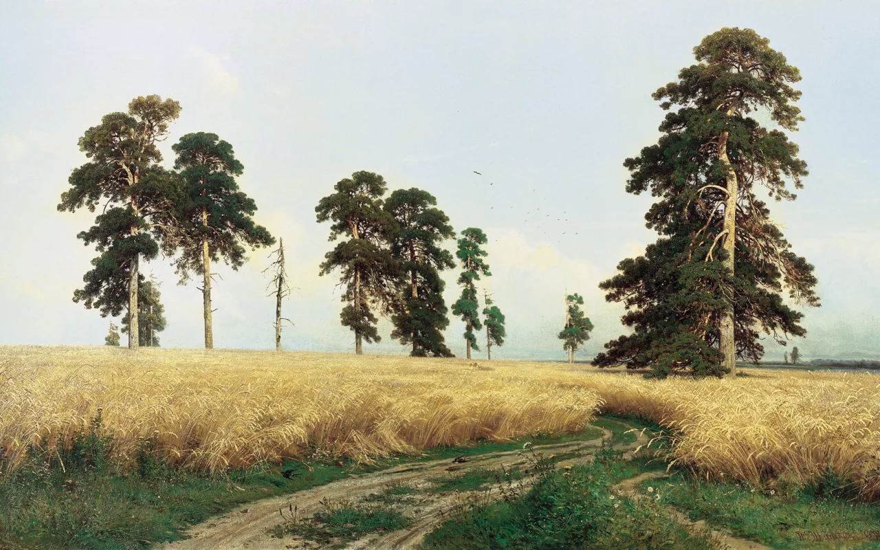 картина, шишкин, рожь, сосна