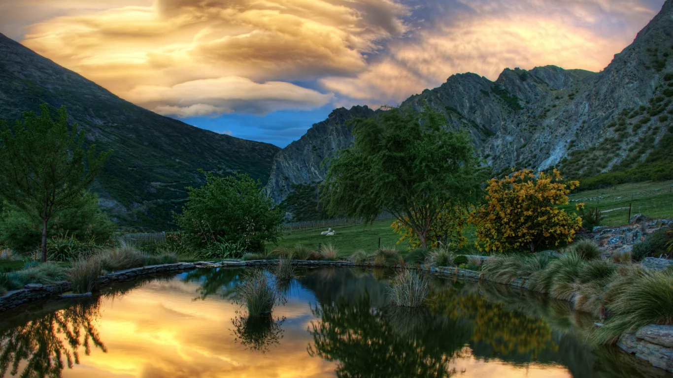 животные, фотографии, природа, бесплатные картинки, горы, вода, деревья, пейзажи, обои