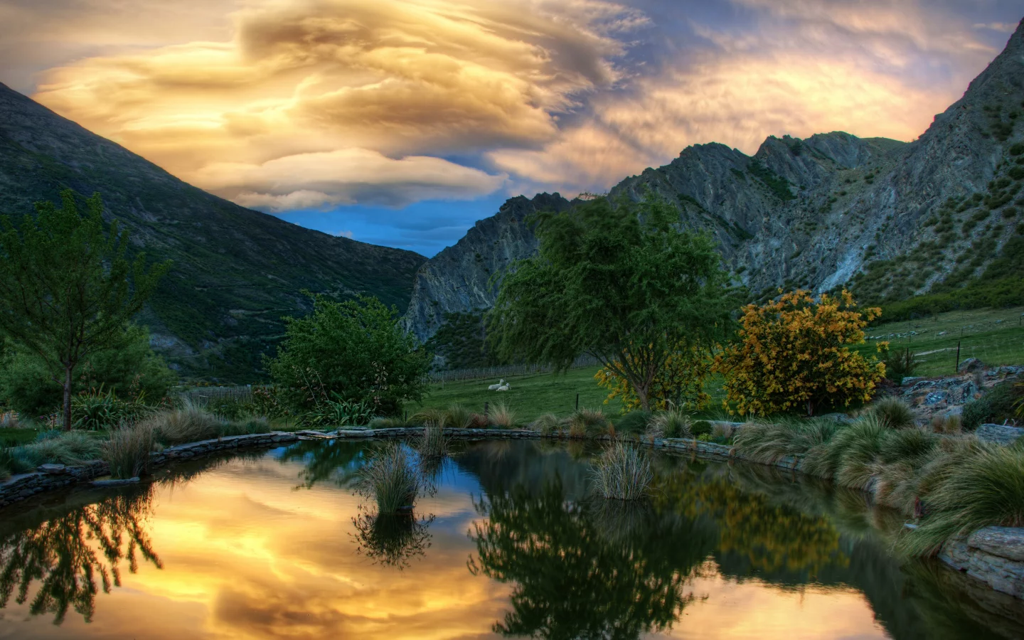 животные, фотографии, природа, бесплатные картинки, горы, вода, деревья, пейзажи, обои