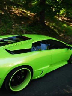 lp640, машины, murcielago, lamborghini, автомобили, авто, салат, тюнинг