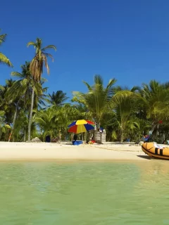 тропики, пальмы, лодка, отпуск