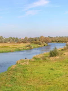 дорога, река, деревья