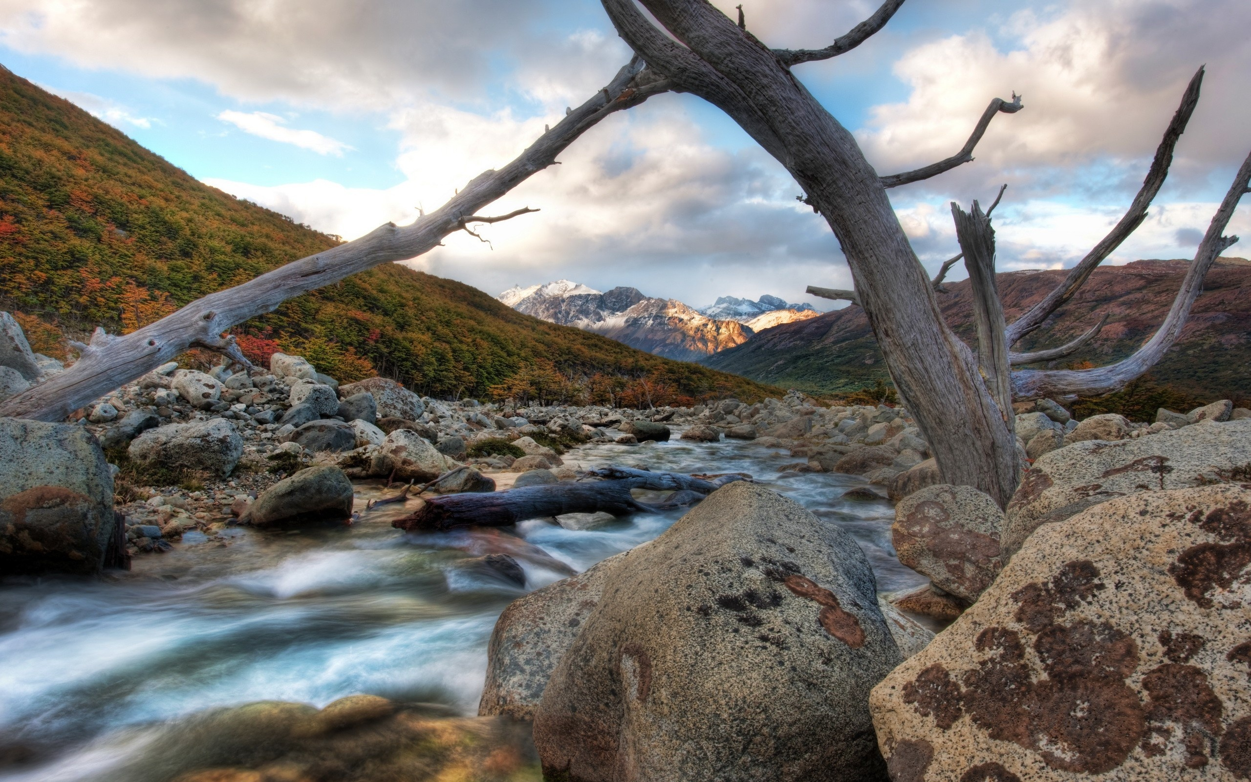 Mountain branch. Горы река камни. Камни горы ручей. Ручей в горах. Величественная природа.