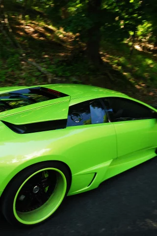 lp640, машины, murcielago, lamborghini, автомобили, авто, салат, тюнинг
