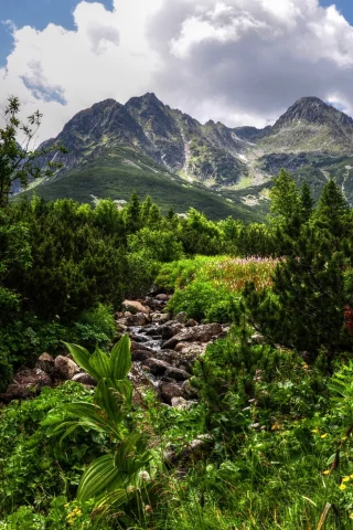 горы, зелень