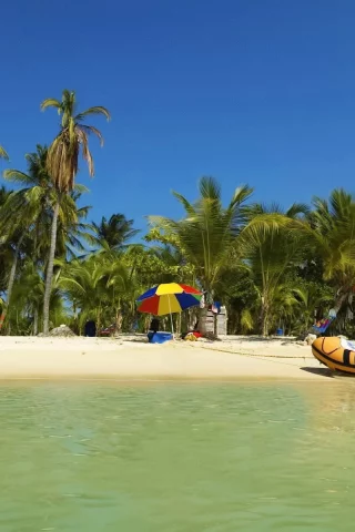 тропики, пальмы, лодка, отпуск