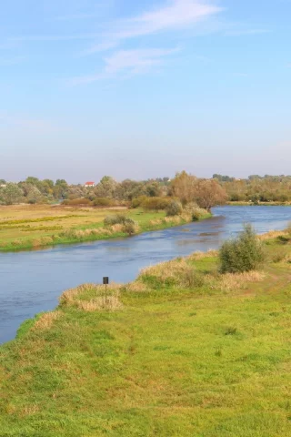дорога, река, деревья
