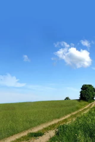 небо, природа, дорога, зелень, поле
