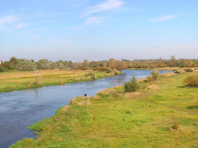 дорога, река, деревья