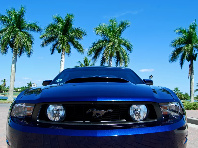 автомобили, mustang, ford, авто, машины, 2011