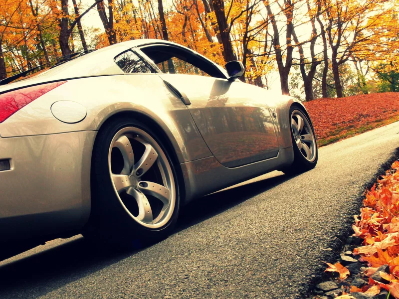 машины, автомобили, дорога, осень, листва, 350z, nissan, авто