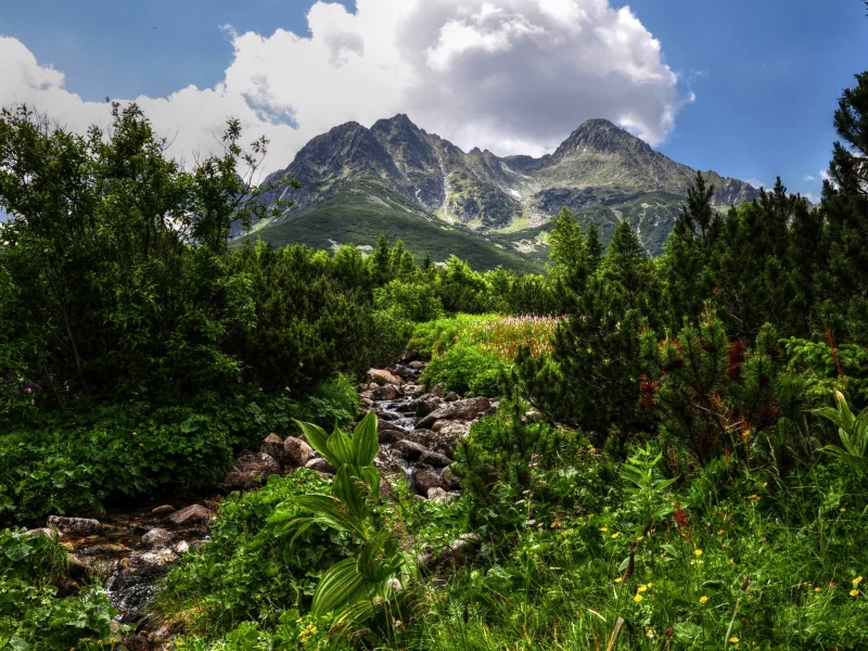 горы, зелень