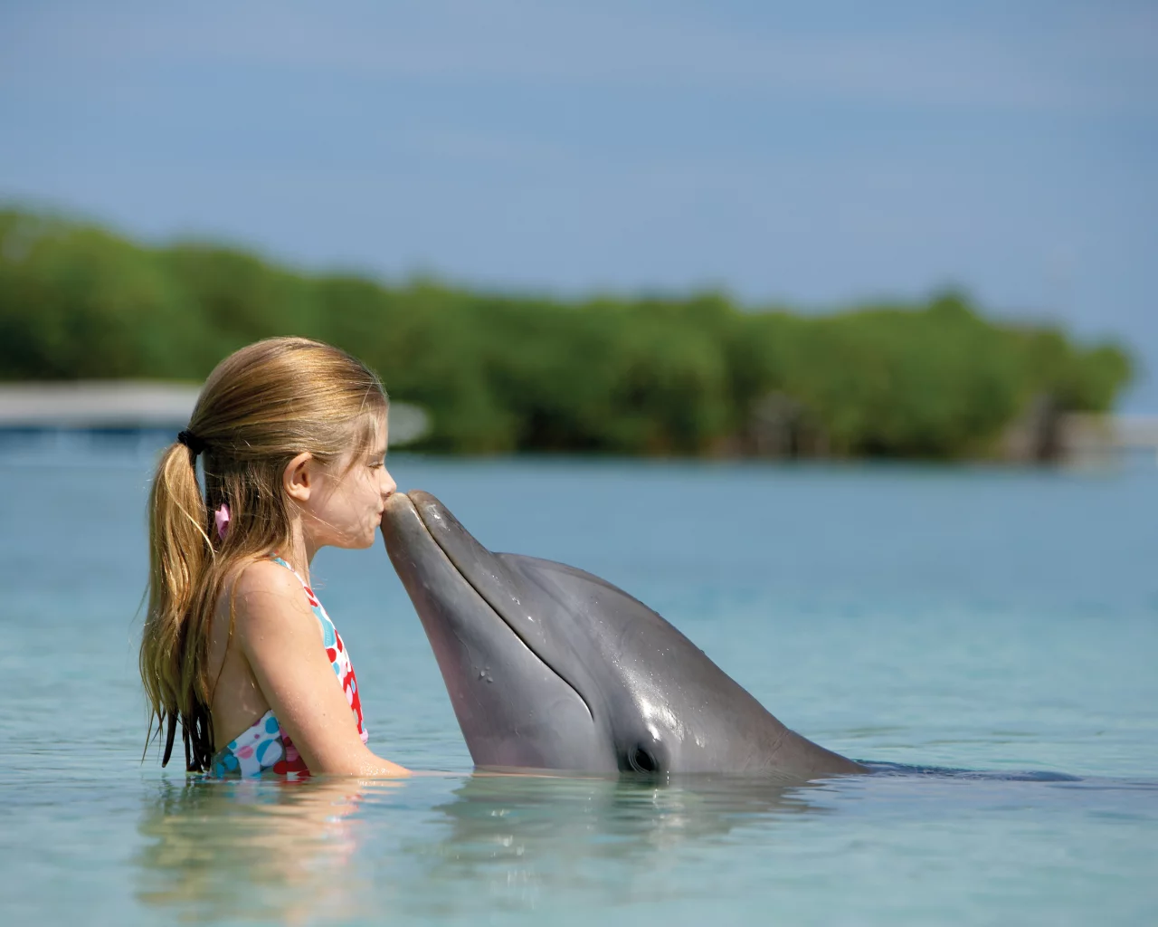 paradise island, bahamas, девчонка, дельфин, child, Океан, дружба