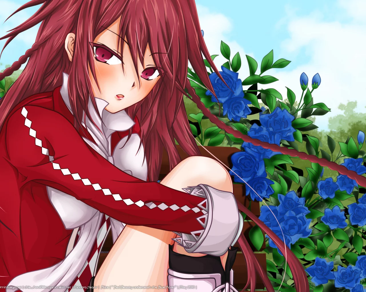 розы, алиса, девушка, сердца пандоры, pandora hearts, Аниме, alice