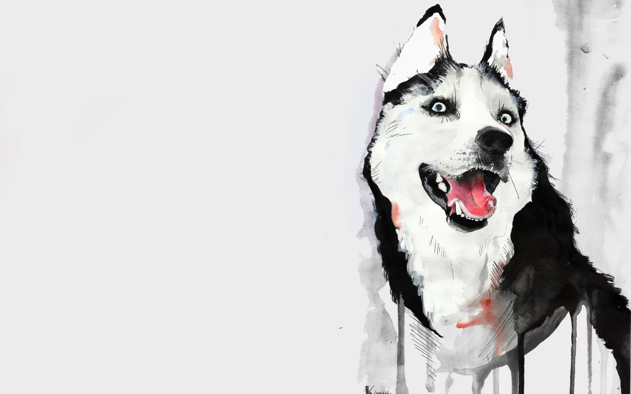 хаска, Собака, язык, рисунок, акварель, хаски